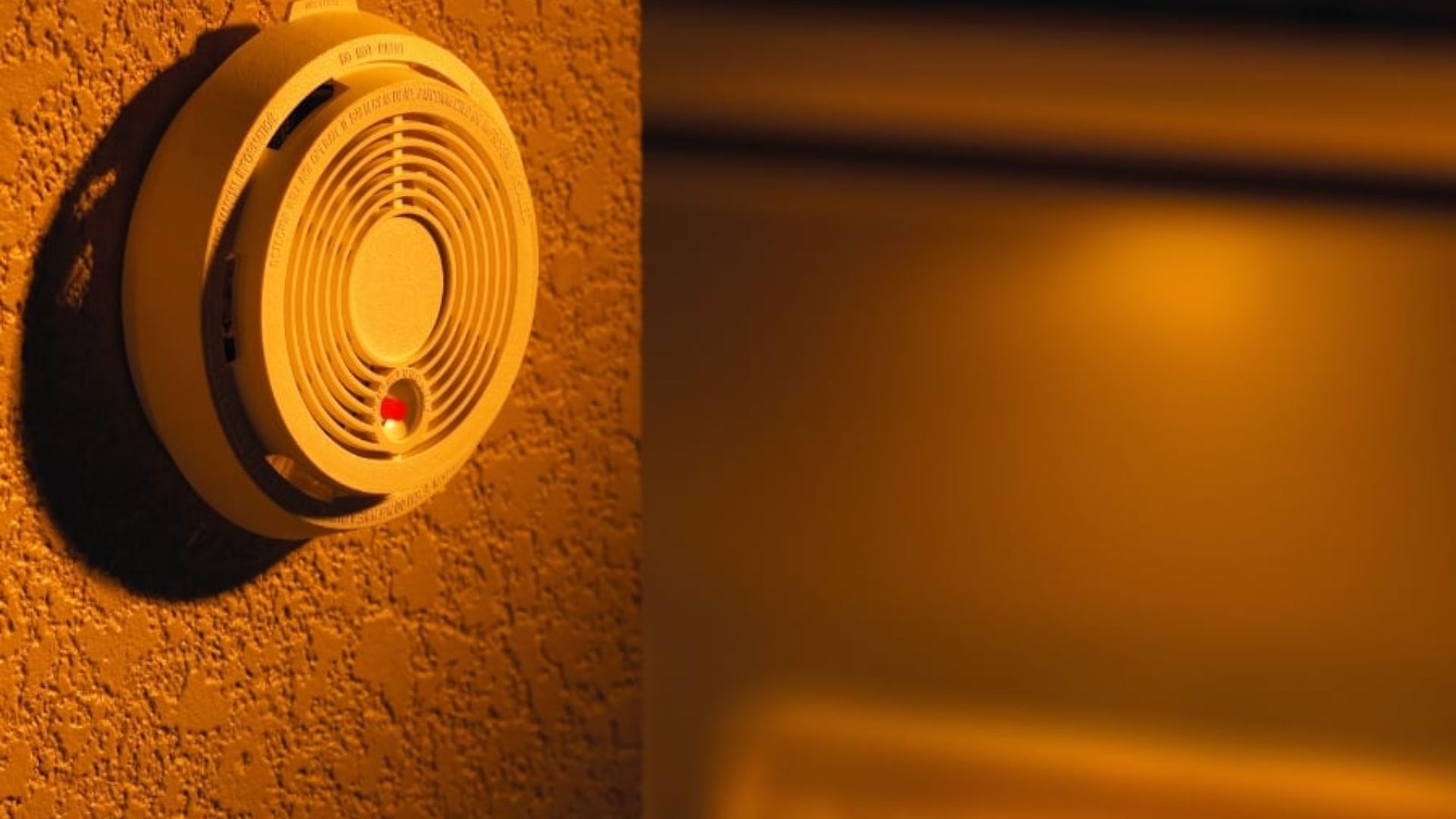 cảm biến người